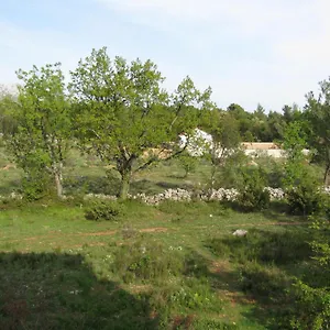 Paklina Apartament